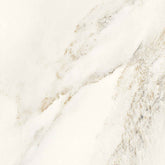 G405 WHITE 42x42 G1 W416-003-1 CAR WHITE