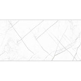 ALASKA DAY 4669L 30x60