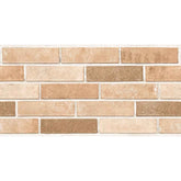 TERACOTA BEIGE 30x60 7702