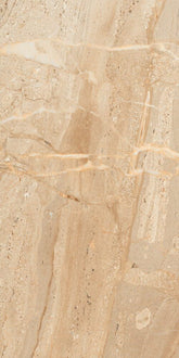 DYNA DELICATO - CRYSTAL PLUS 60x120