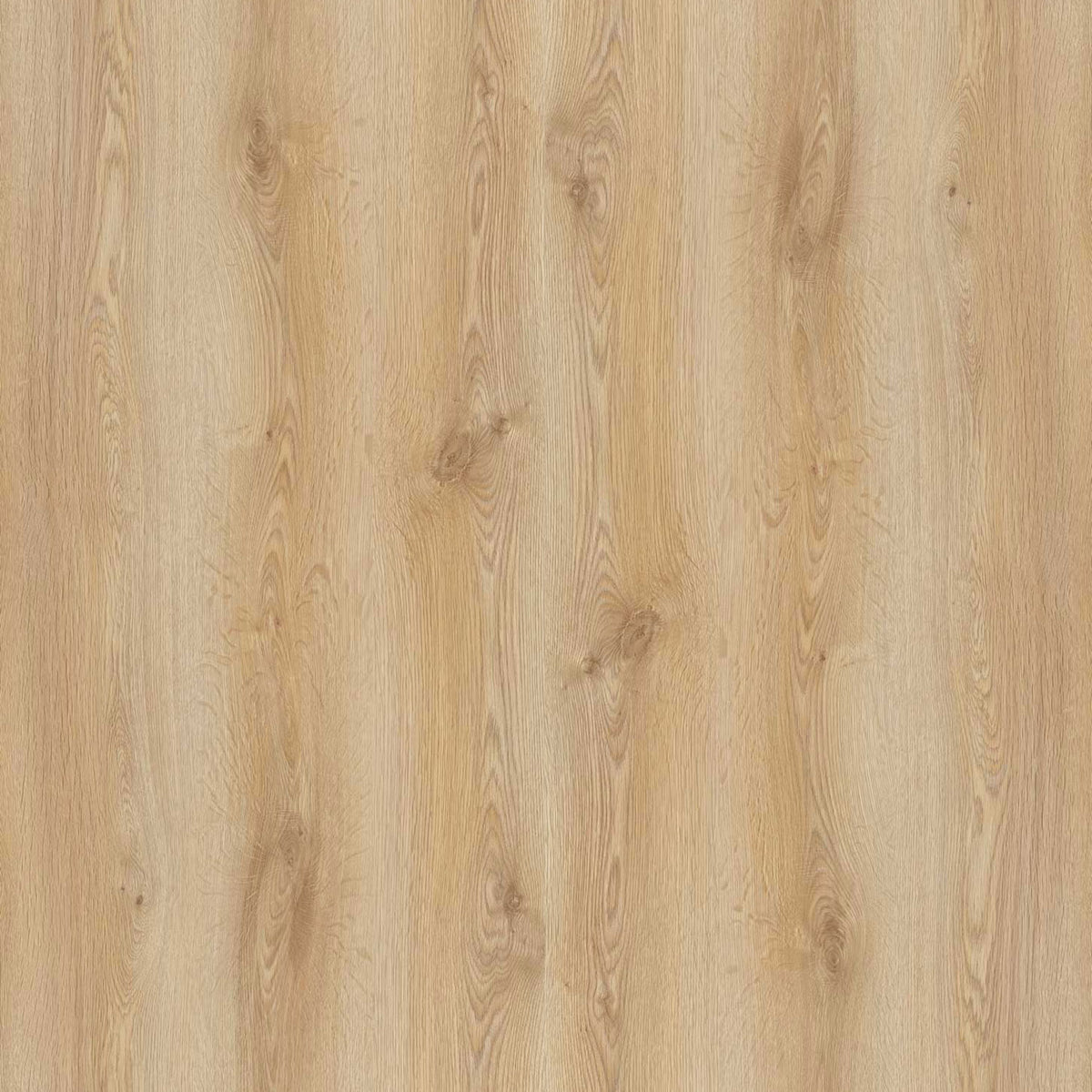 PARCHET NATURA LINE TREND OAK 8MM AC4- CL32 V-GROOVE EURO PALET 501 Preț/Cutie