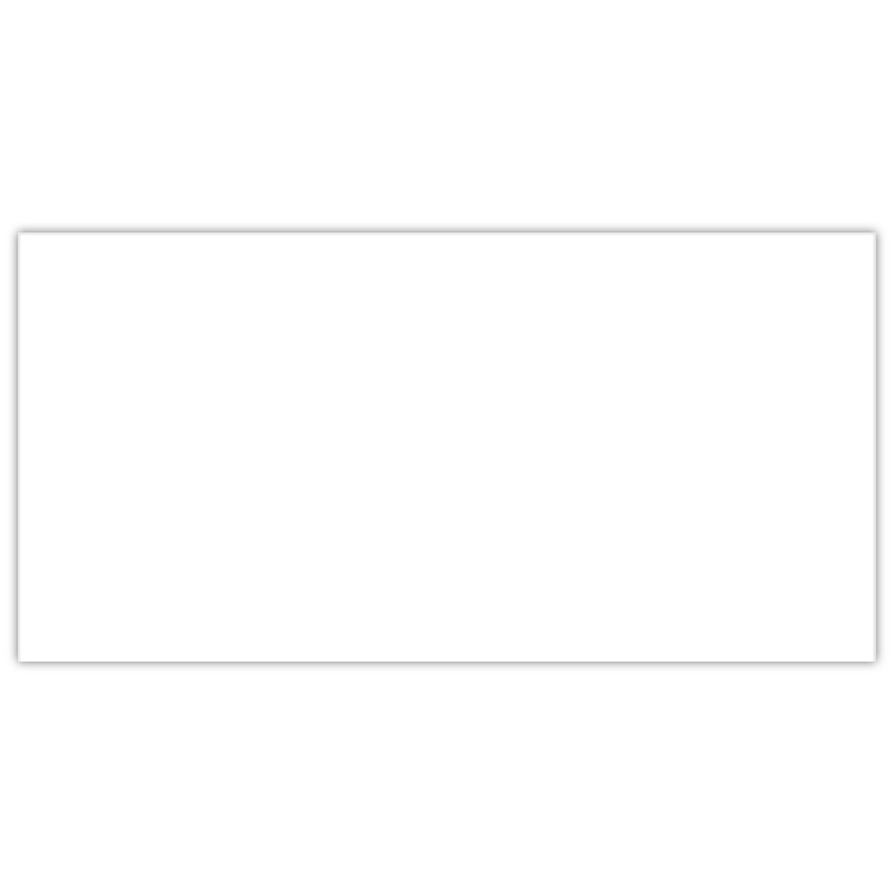 WHITE MATT RECTIFIED 30x60