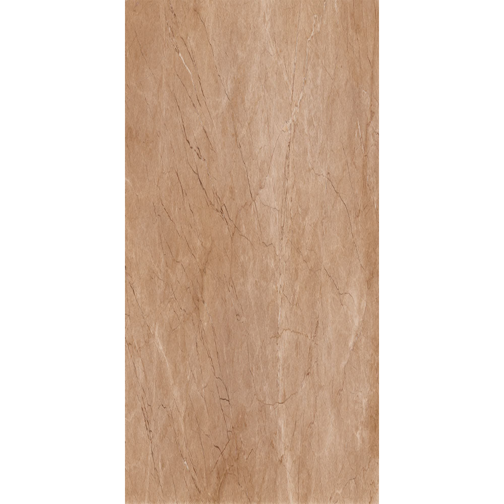 SAHARA BROWN 60x120 12500