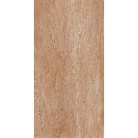 SAHARA BROWN 60x120 12500