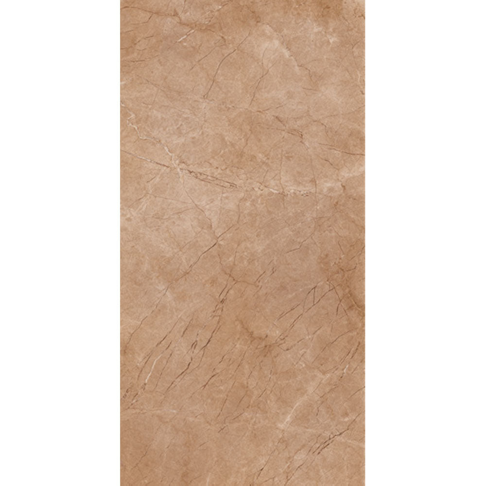 SAHARA BROWN 60x120 12500