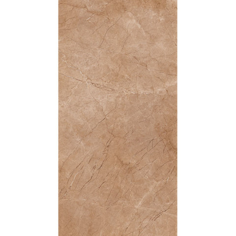 SAHARA BROWN 60x120 12500