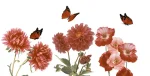 PASSION STRIPES DECORE 30x60