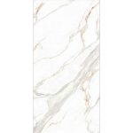 STATVARIO ANJELO 60x120