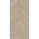 ESS. RLV. CHEVRON NUBOLE 60x120