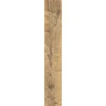 FOREST POPLAR DJ 15x90