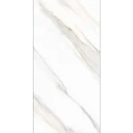 CALACATTA GOLDEN CARVING 60x120