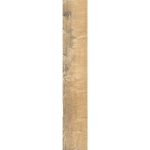 FOREST POPLAR DJ 15x90