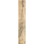 FOREST POPLAR DJ 15x90